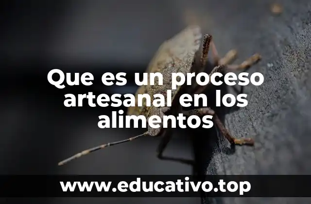 Que es un proceso artesanal en los alimentos