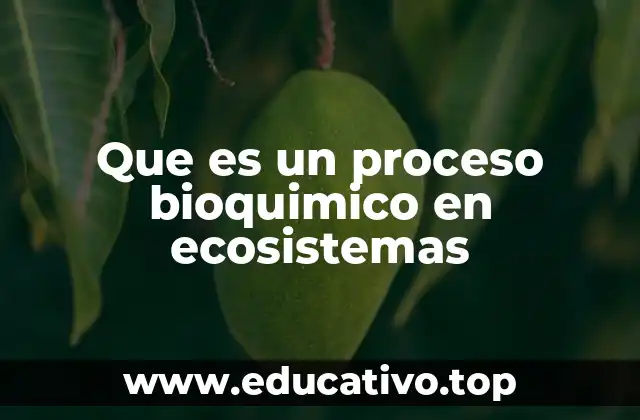 La importancia de los procesos bioquímicos en el mantenimiento de la vida