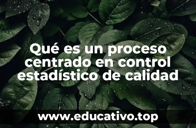 Qué es un proceso centrado en control estadístico de calidad