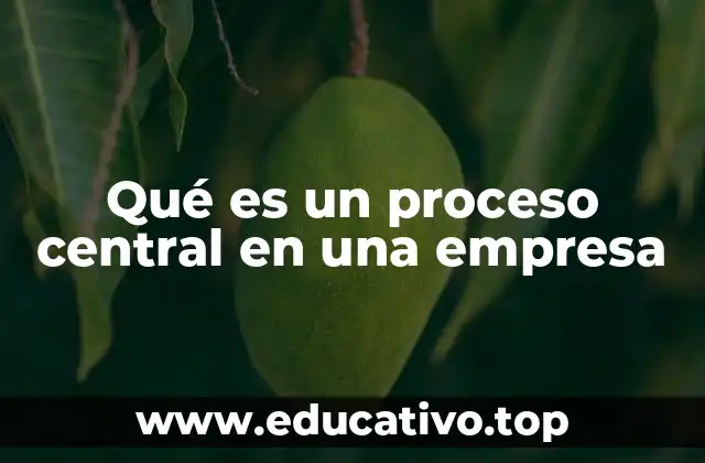 Qué es un proceso central en una empresa