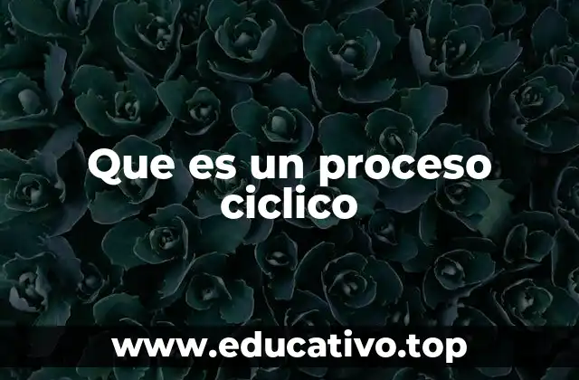 Que es un proceso ciclico