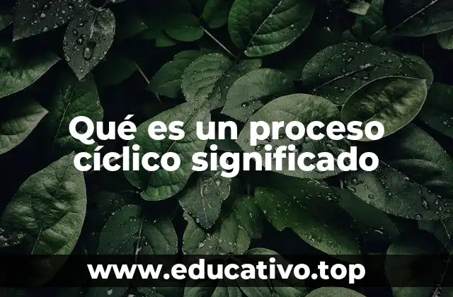 Qué es un proceso cíclico significado