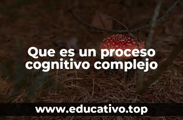 Que es un proceso cognitivo complejo