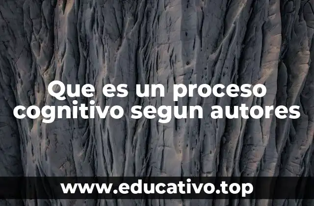 Que es un proceso cognitivo segun autores