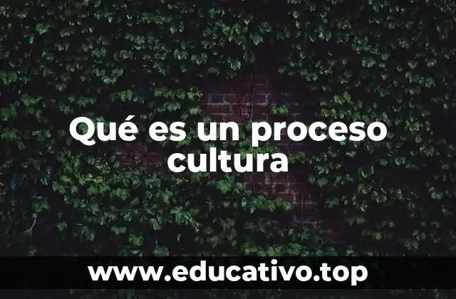 Qué es un proceso cultura