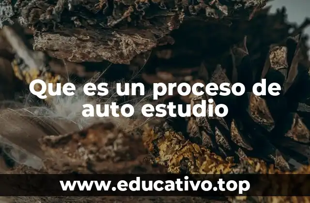 Que es un proceso de auto estudio