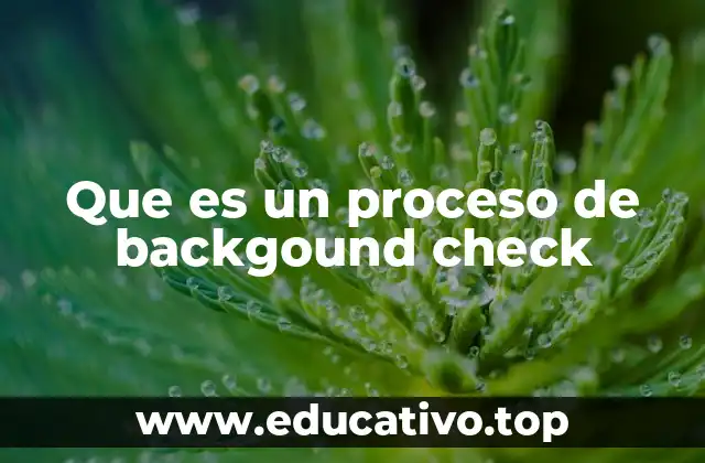 Que es un proceso de backgound check