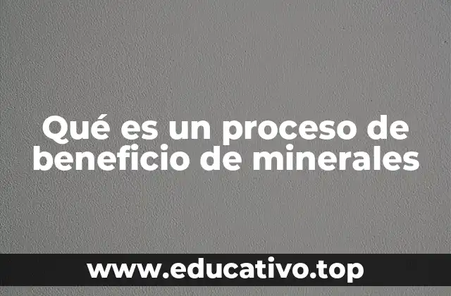 Qué es un proceso de beneficio de minerales