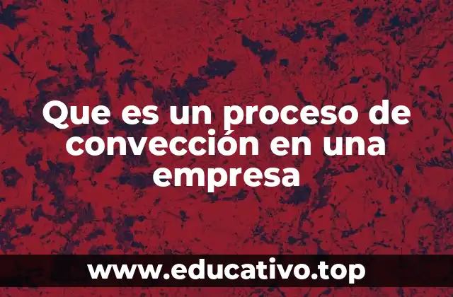 Que es un proceso de convección en una empresa
