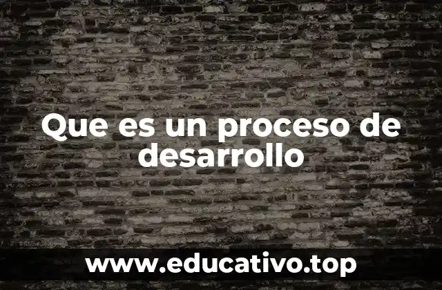Que es un proceso de desarrollo