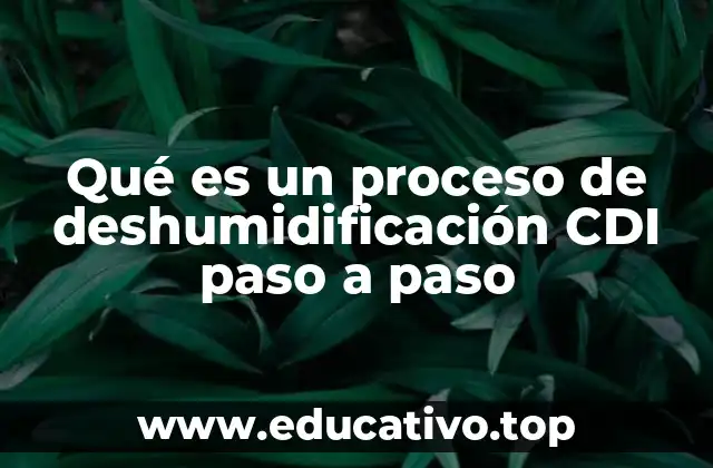 Qué es un proceso de deshumidificación CDI paso a paso