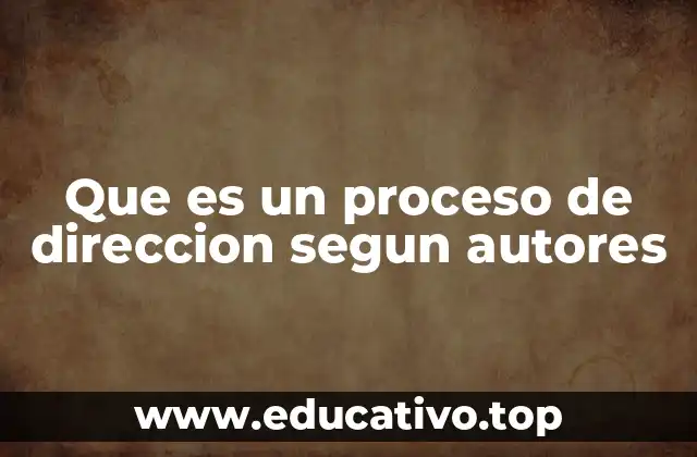 Que es un proceso de direccion segun autores