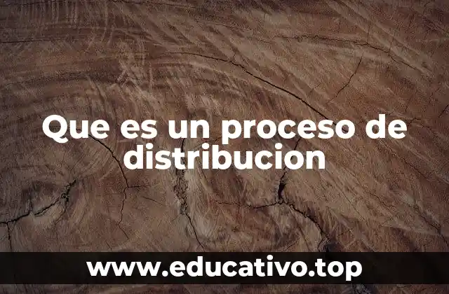 Que es un proceso de distribucion