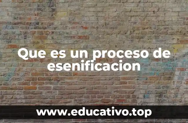 Que es un proceso de esenificacion