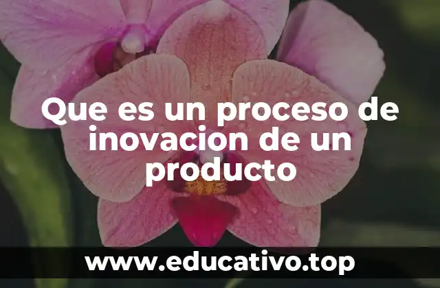 Que es un proceso de inovacion de un producto