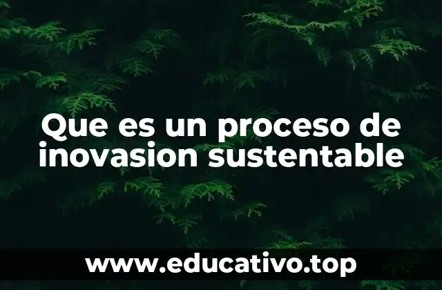 Que es un proceso de inovasion sustentable