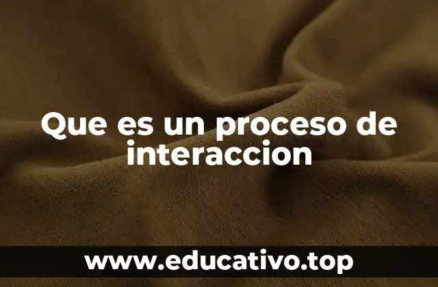 Que es un proceso de interaccion