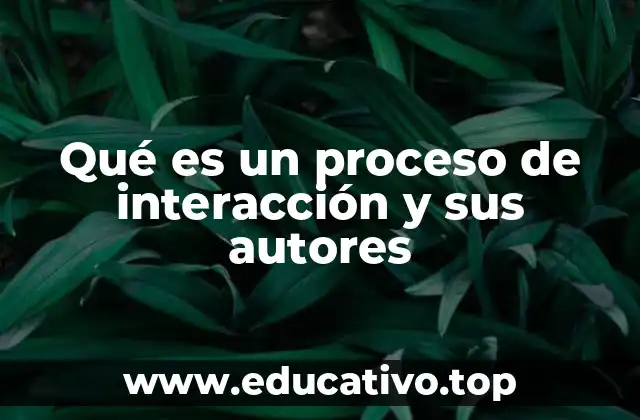 Qué es un proceso de interacción y sus autores