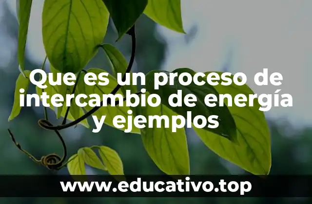 Que es un proceso de intercambio de energía y ejemplos