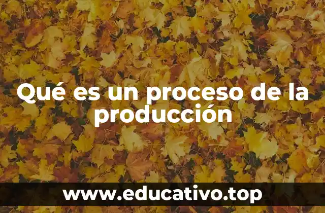Qué es un proceso de la producción