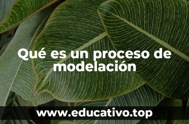 Qué es un proceso de modelación