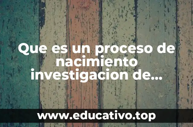 Que es un proceso de nacimiento investigacion de operaciones