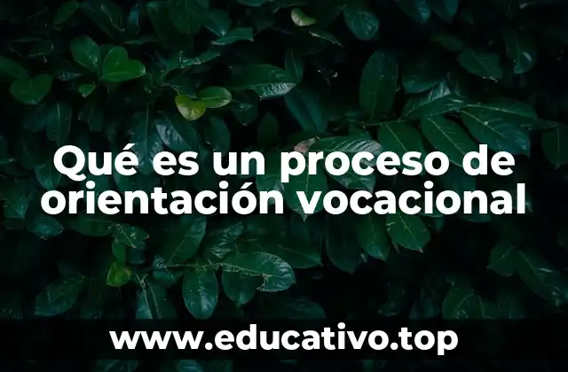 Qué es un proceso de orientación vocacional