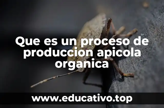 Características esenciales del proceso apícola orgánico