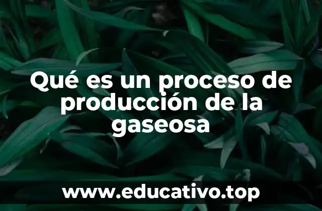 Qué es un proceso de producción de la gaseosa