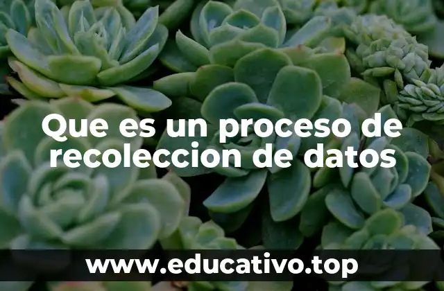Que es un proceso de recoleccion de datos