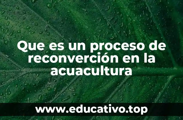 La evolución de la acuacultura hacia modelos sostenibles