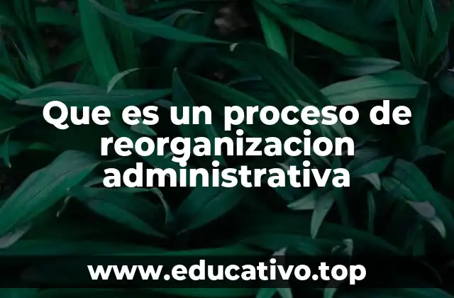 Que es un proceso de reorganizacion administrativa