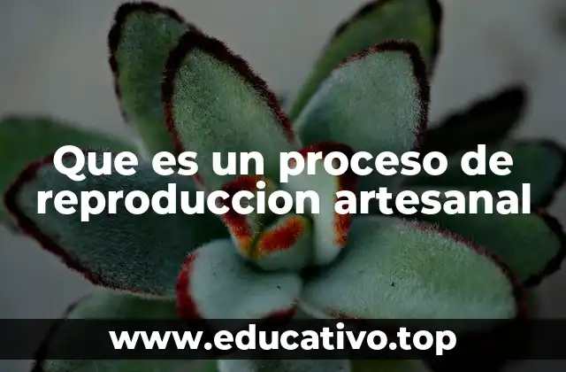 Que es un proceso de reproduccion artesanal