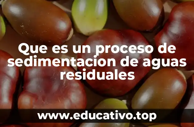 La sedimentación como parte del ciclo de tratamiento de aguas