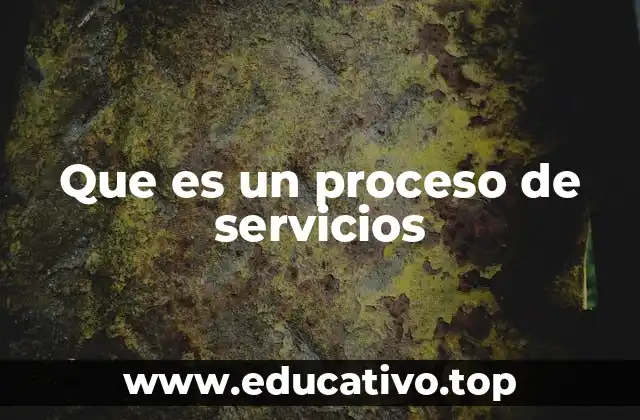 Que es un proceso de servicios