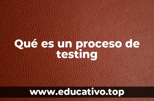 Qué es un proceso de testing