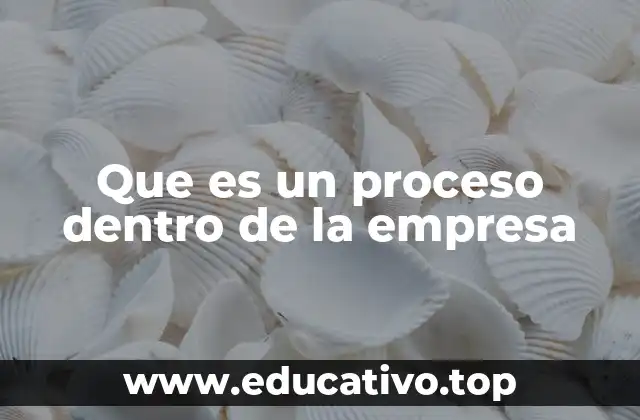 Que es un proceso dentro de la empresa