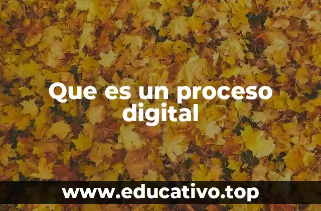 Que es un proceso digital
