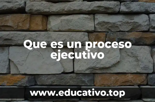 Que es un proceso ejecutivo
