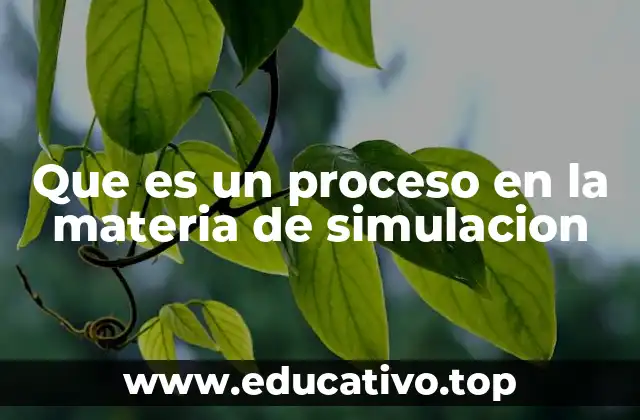 Que es un proceso en la materia de simulacion