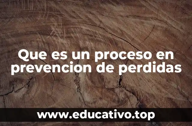 Que es un proceso en prevencion de perdidas