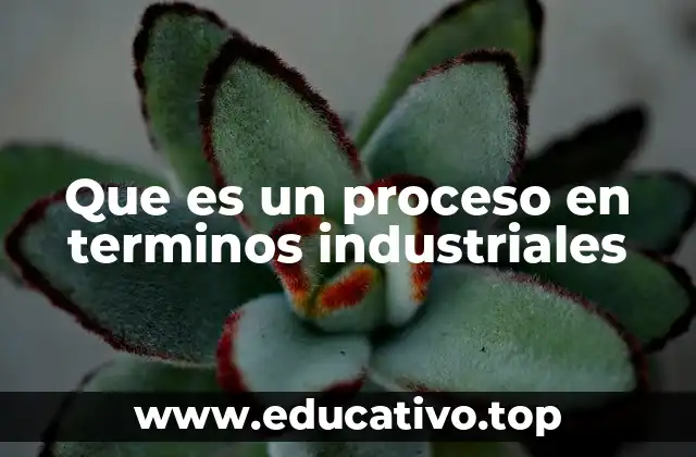 Que es un proceso en terminos industriales