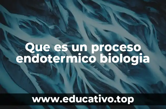 Que es un proceso endotermico biologia