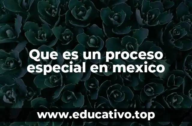 Que es un proceso especial en mexico