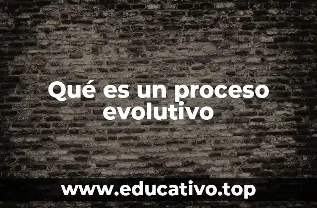 Qué es un proceso evolutivo
