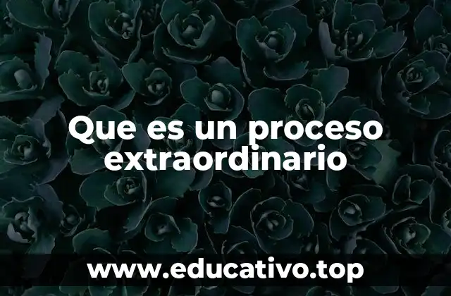 Que es un proceso extraordinario