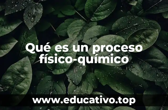 Qué es un proceso físico-químico