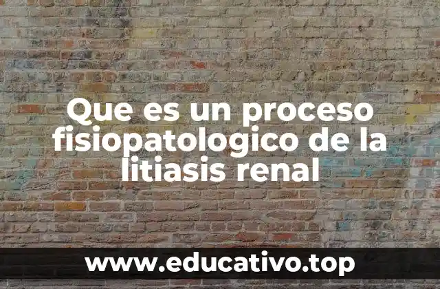 Que es un proceso fisiopatologico de la litiasis renal