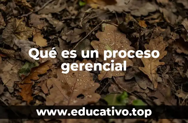 Qué es un proceso gerencial
