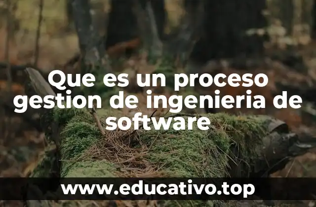 Que es un proceso gestion de ingenieria de software
